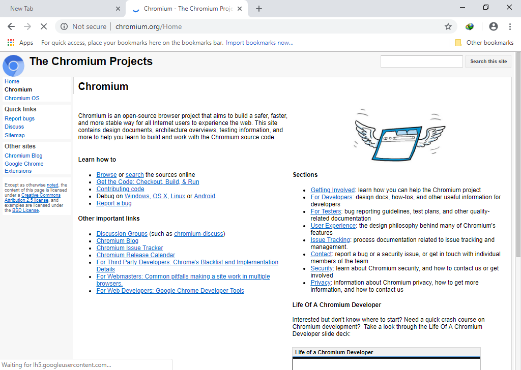 chromium browsers andre