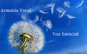 Armonía Vocal. Voz Esencial en Facebook