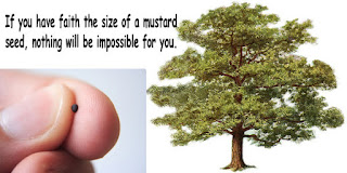 Image result for mustard seed