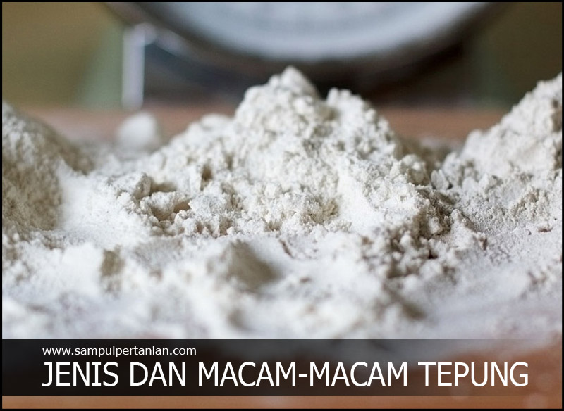 Jenis Dan Macam Macam Tepung Yang Mudah Ditemui Dipasaran
