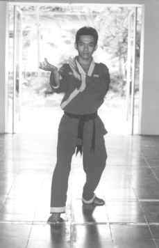 Gambar dan Foto Foto Tapak Suci Putera Muhammadiyah | Forum SH Terate