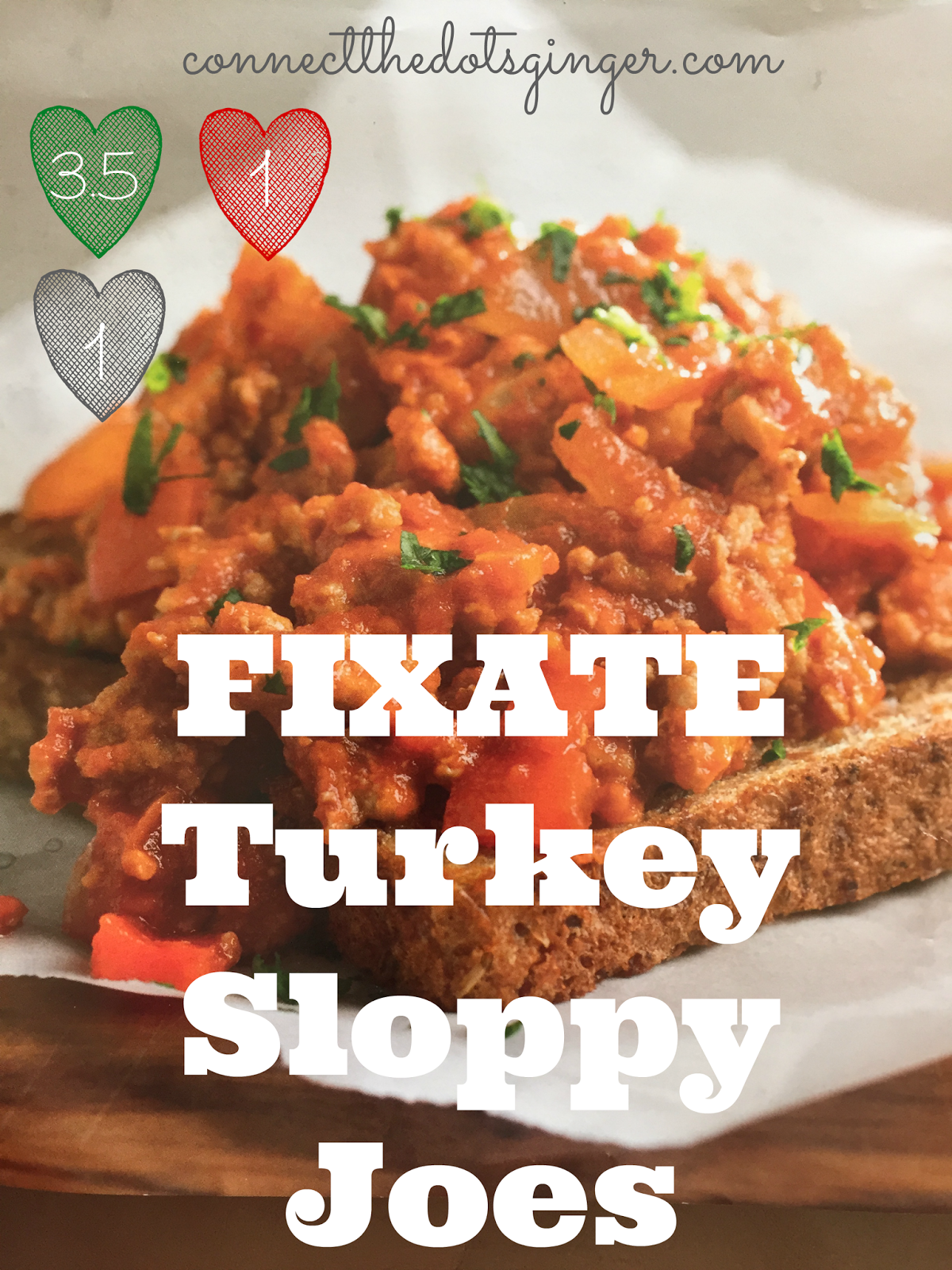 Connect the Dots Ginger Becky Allen FIXATE Turkey Sloppy Joes