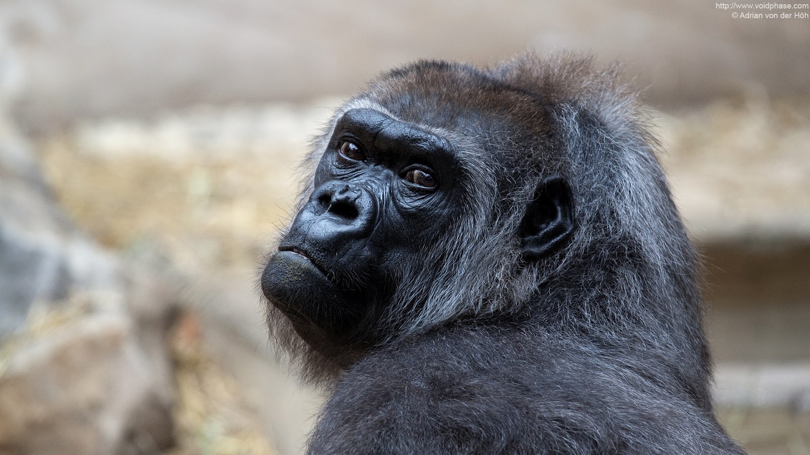 Help me please картинки. картинка help. Missing persons. плиз хелп картинка. Help me please депрессивные.