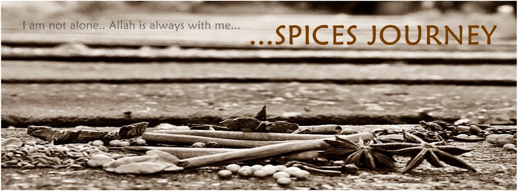 Spices Journey
