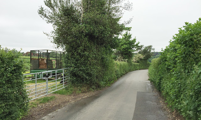 Nash Lane, 2 June 2016. Nash Lane, 2 June 2016.