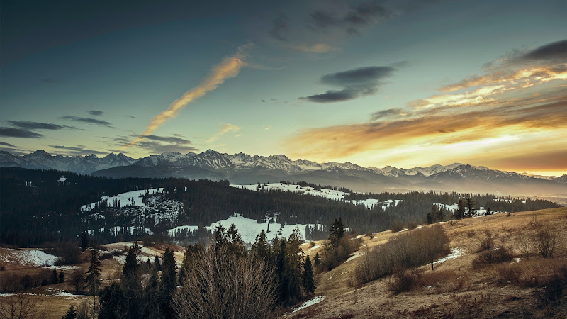 Autumn-Winter Landscape
