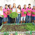 Alunos do Povoado de Capelinha do Município de Capela do Alto Alegre realizam a primeira colheita do Projeto Educando com a Horta Escolar