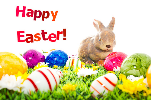 happy easter day photos 2017 happy easter day photos 2017, rabbit image download, bunny easter images 2017