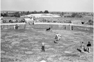 ttt---5.-plaza+toros119+-+copia.jpg