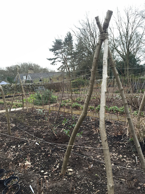 Rustic Walled Garden Rustic Walled Garden