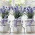 Lavendar Ideas & Laventa Kokuları Arasında