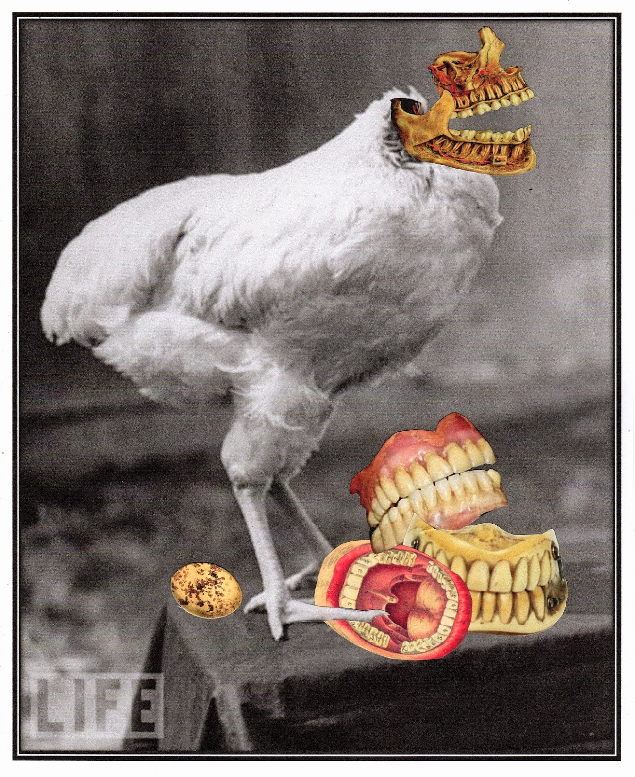 The Kollage Kit As Scarce As Hen's Teeth