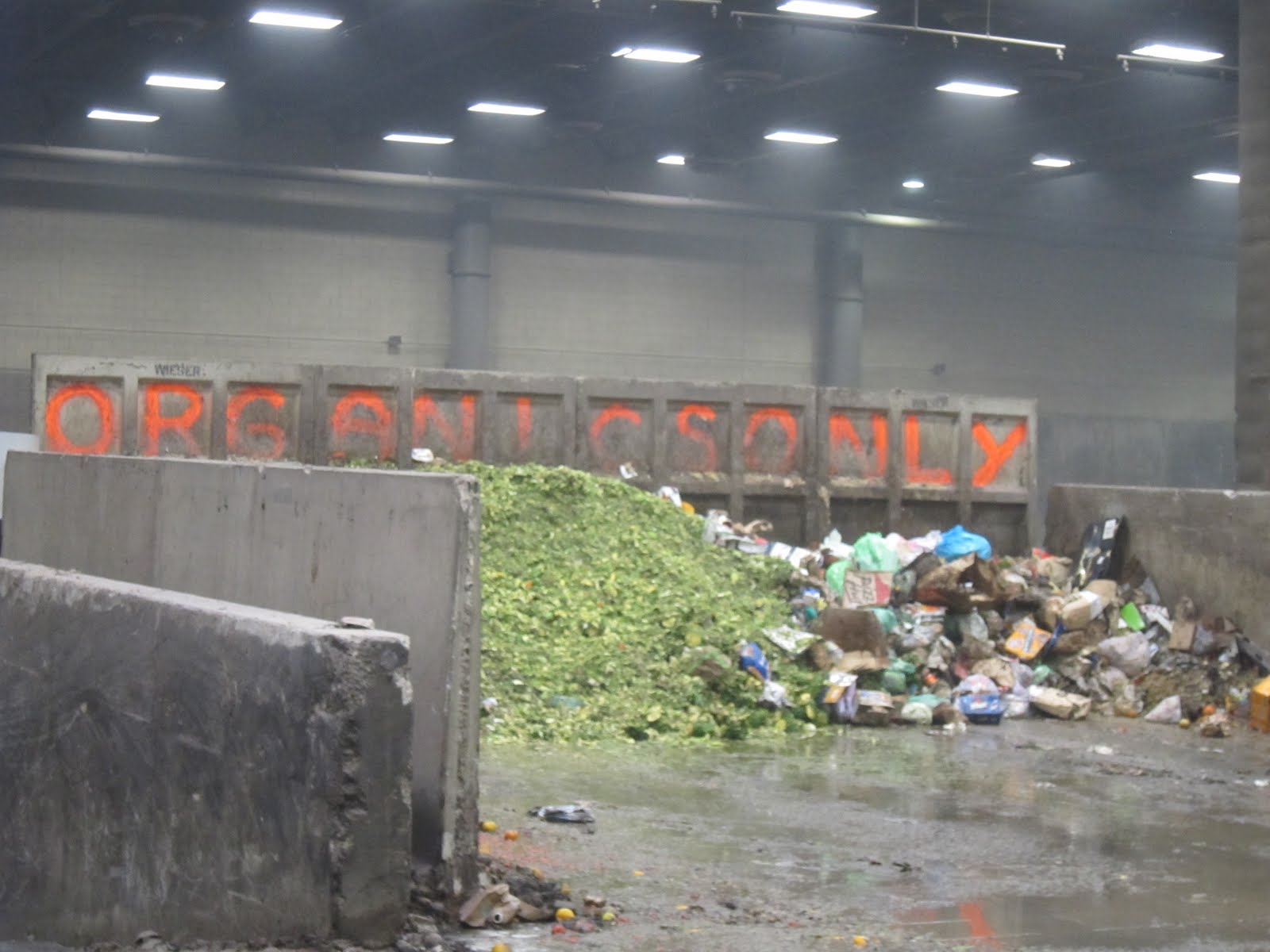 the trashbasher The organics bunker