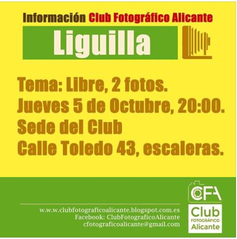 LIGUILLA MES DE OCTUBRE