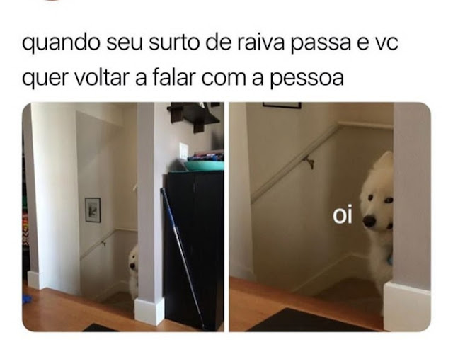 memes para deixar a sua semana mais alegre memes para deixar a sua semana mais alegre