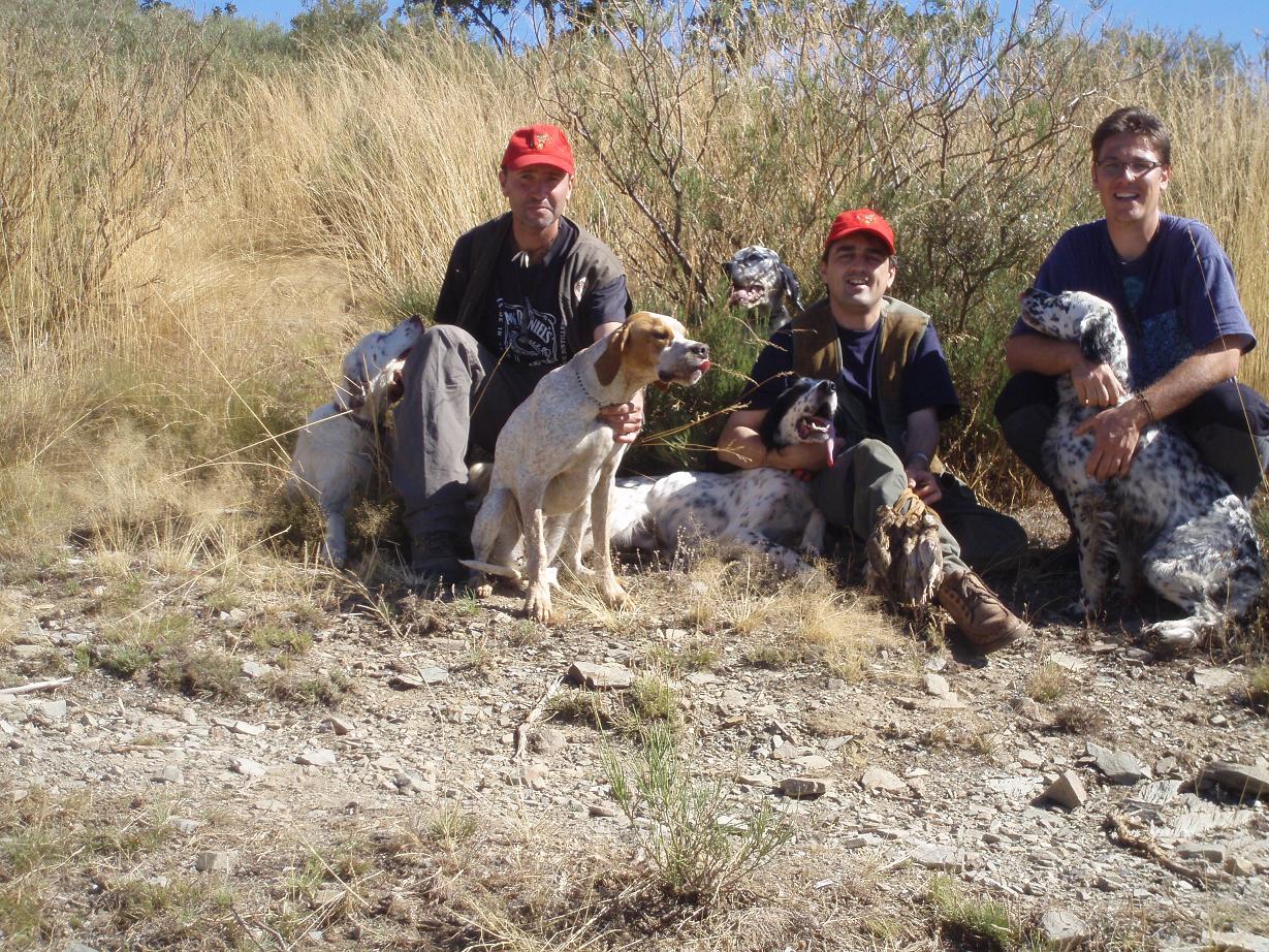 Compañeros de caza y perros