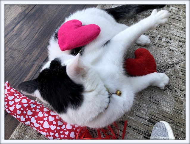 Catnip Hearts and Kicker Toy - Crafting with Cats ©BionicBasil® Valentine's Special 2019