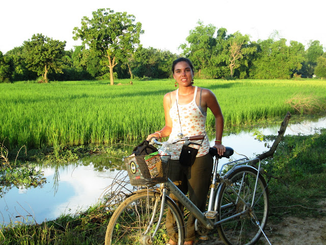 Mi bici y yo por los campos de arroz Mi bici y yo por los campos de arroz