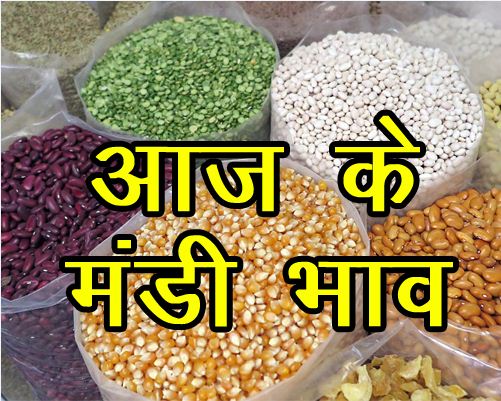Mandsaur Mandi Bhav Online Mandsaur Mandi Latest Bhav