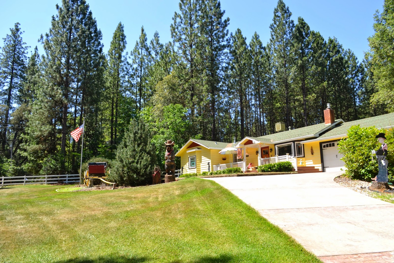 Real Estate Photography New Listing In Pine Grove, CA!
