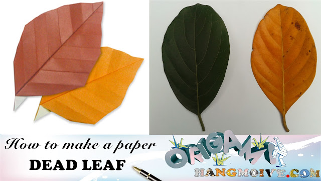 Cách gấp xếp, lá cây bằng giấy origami | How to make a paper dead Leaf Cách gấp xếp, lá cây bằng giấy origami | How to make a paper dead Leaf