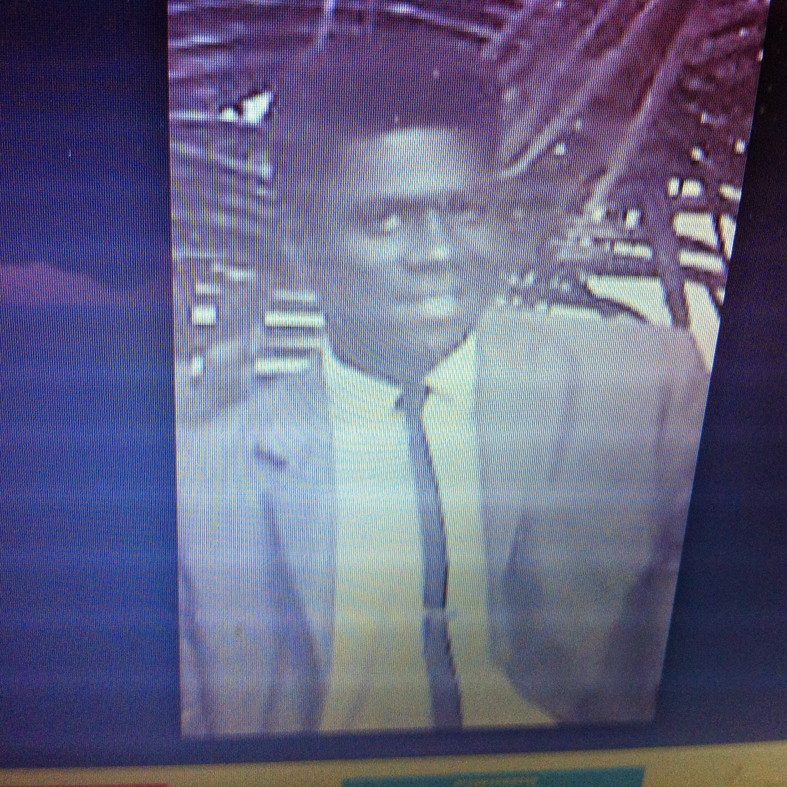 THE BLACK SOCIAL HISTORY:: BLACK SOCIAL HISTORY : GERALDO PINO WAS A ...