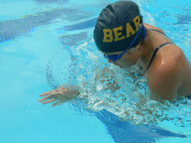 bearswimming