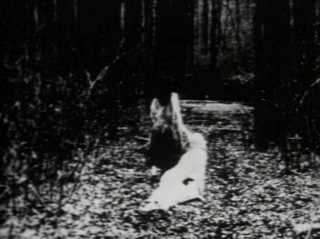 P s i c o v o m i t o s i s: BEGOTTEN (E.Elias Merhige) Película (1991)