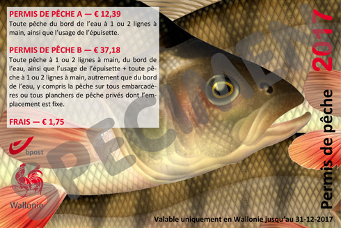 peche truite wallonie