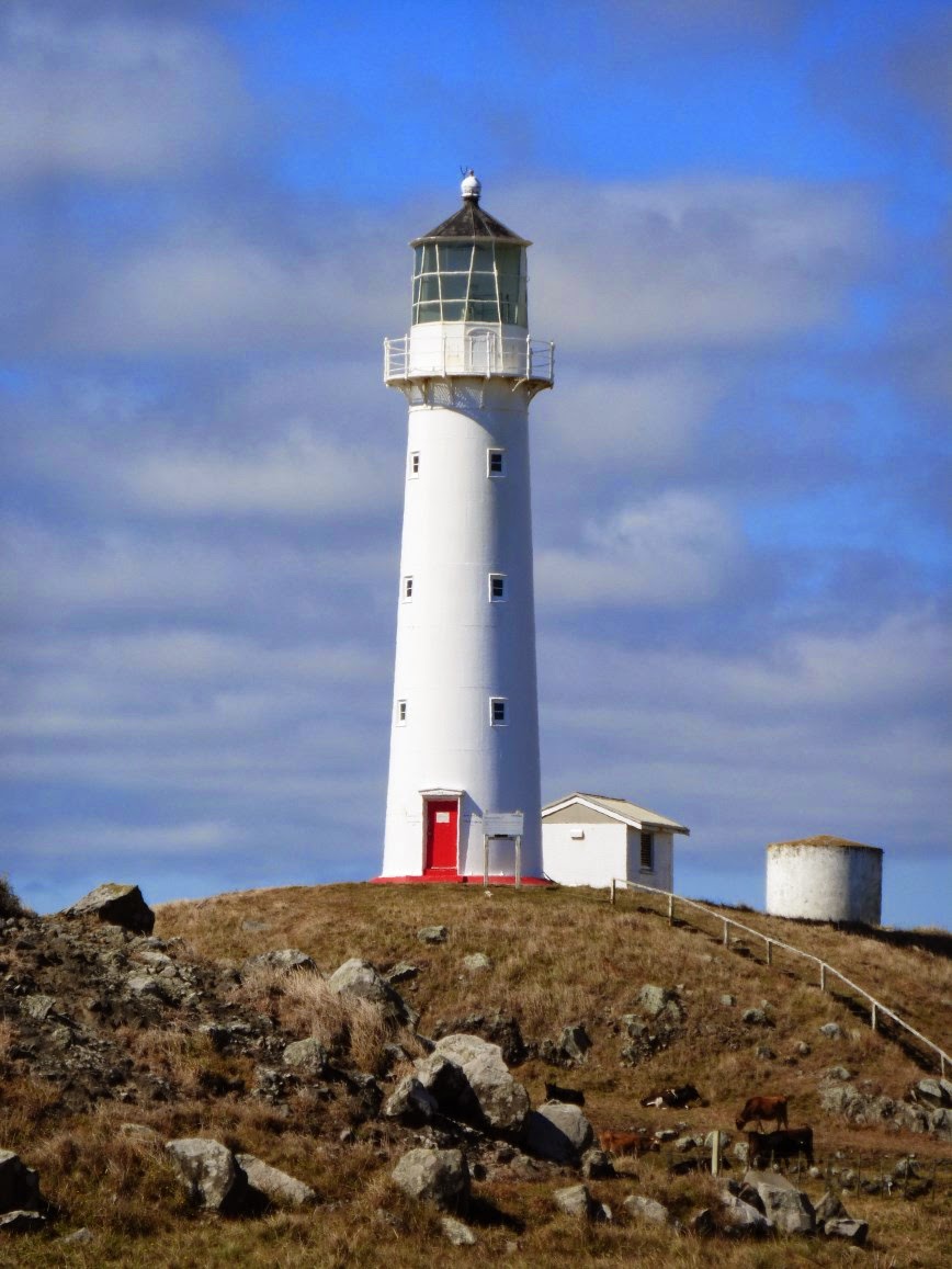The Road Goes Ever On Cape Egmont And North