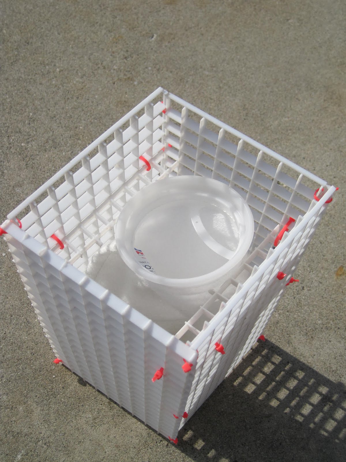 Chromis' Reef: DIY
