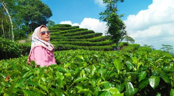 Arti Mimpi Makan Rendang Daging Menurut Primbon Jawa Pendapat Ulama Serta Adab Bermimpi Buruk Mengintip Tafsir Mimpi Jawa