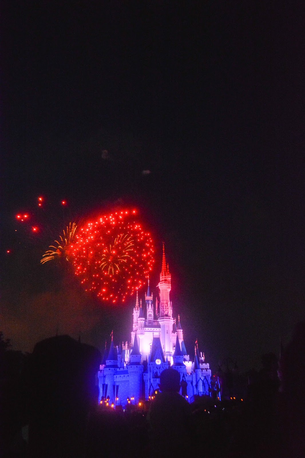 walt disney world walt disney world