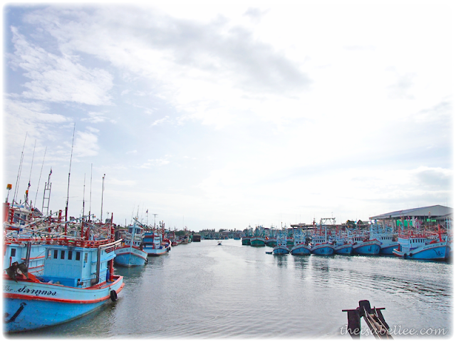 Rows of boats along the river