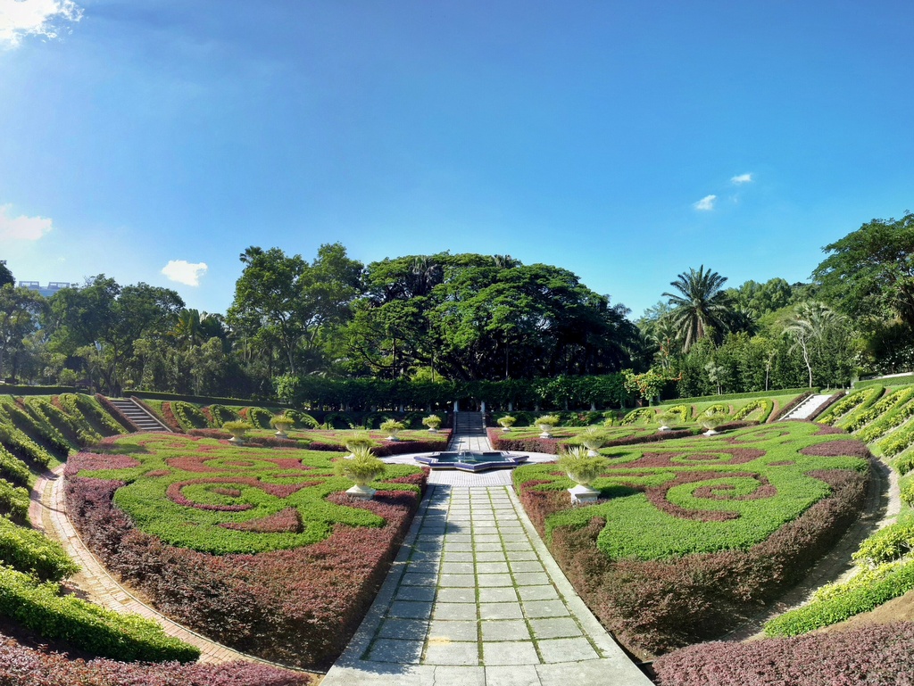 日出观的茶叶种植园景观马来西亚金马伦高原图片下载 - 觅知网