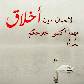 8af08160677c15431622db935b24e02c