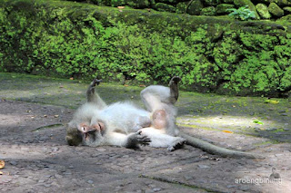 mandala wisata wenara wana ubud