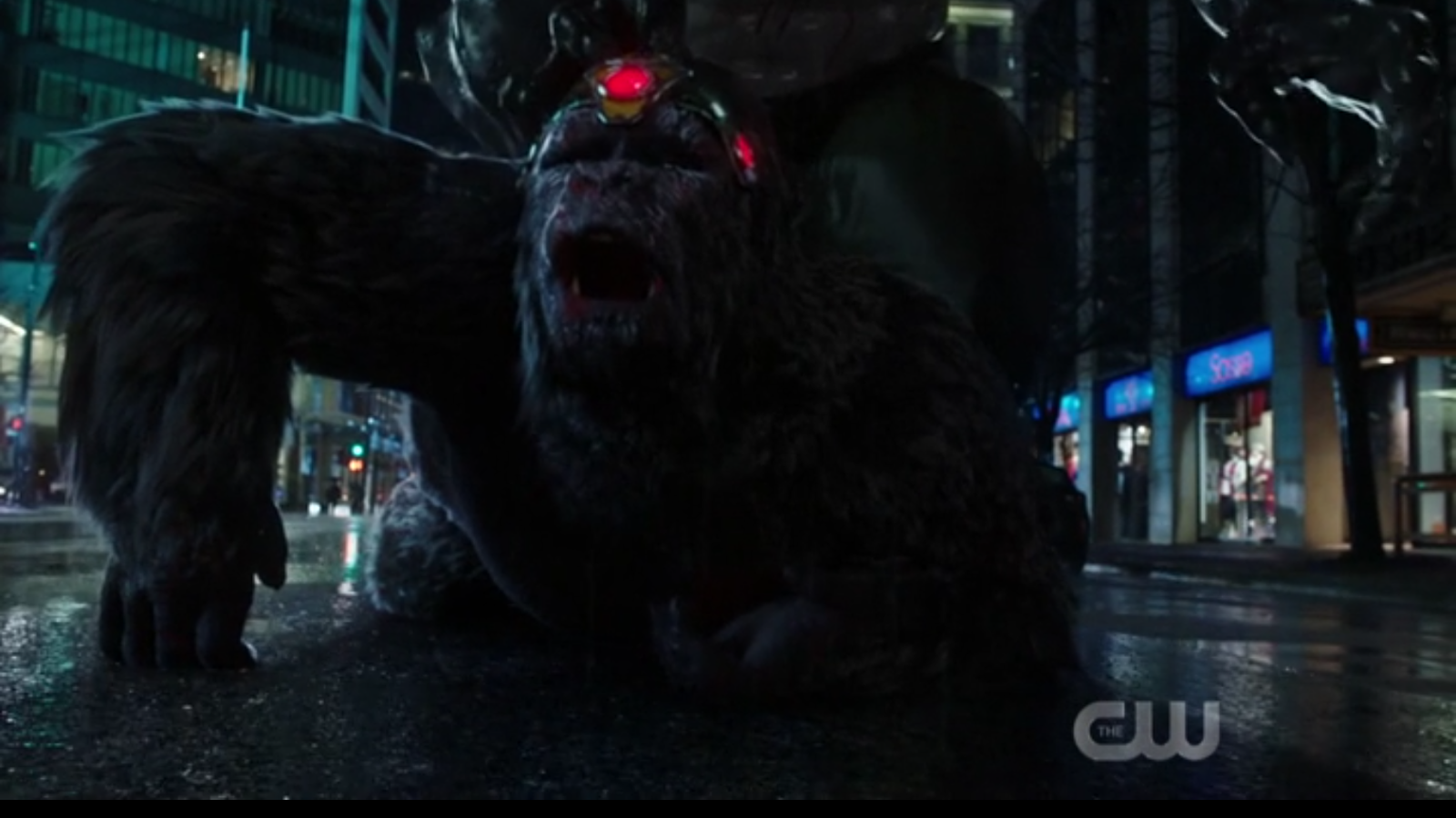 Flash King Shark Vs Gorilla Grodd THE FLASH "KING SHARK VS. GORILLA GRODD" REVIEW