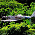 Mitsubishi A6M Zero Wreck at Kieta Memorial Park