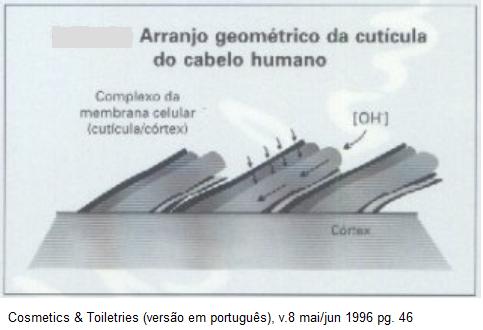 arranjo geométrico da cutícula do cabelo humano