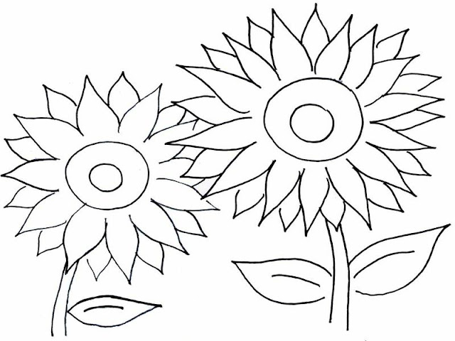 gambar bunga matahari untuk diwarnai