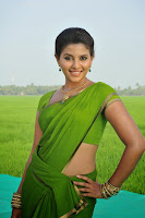 Anjali Latest Glamorous Saree Stills TollywoodBlog.com