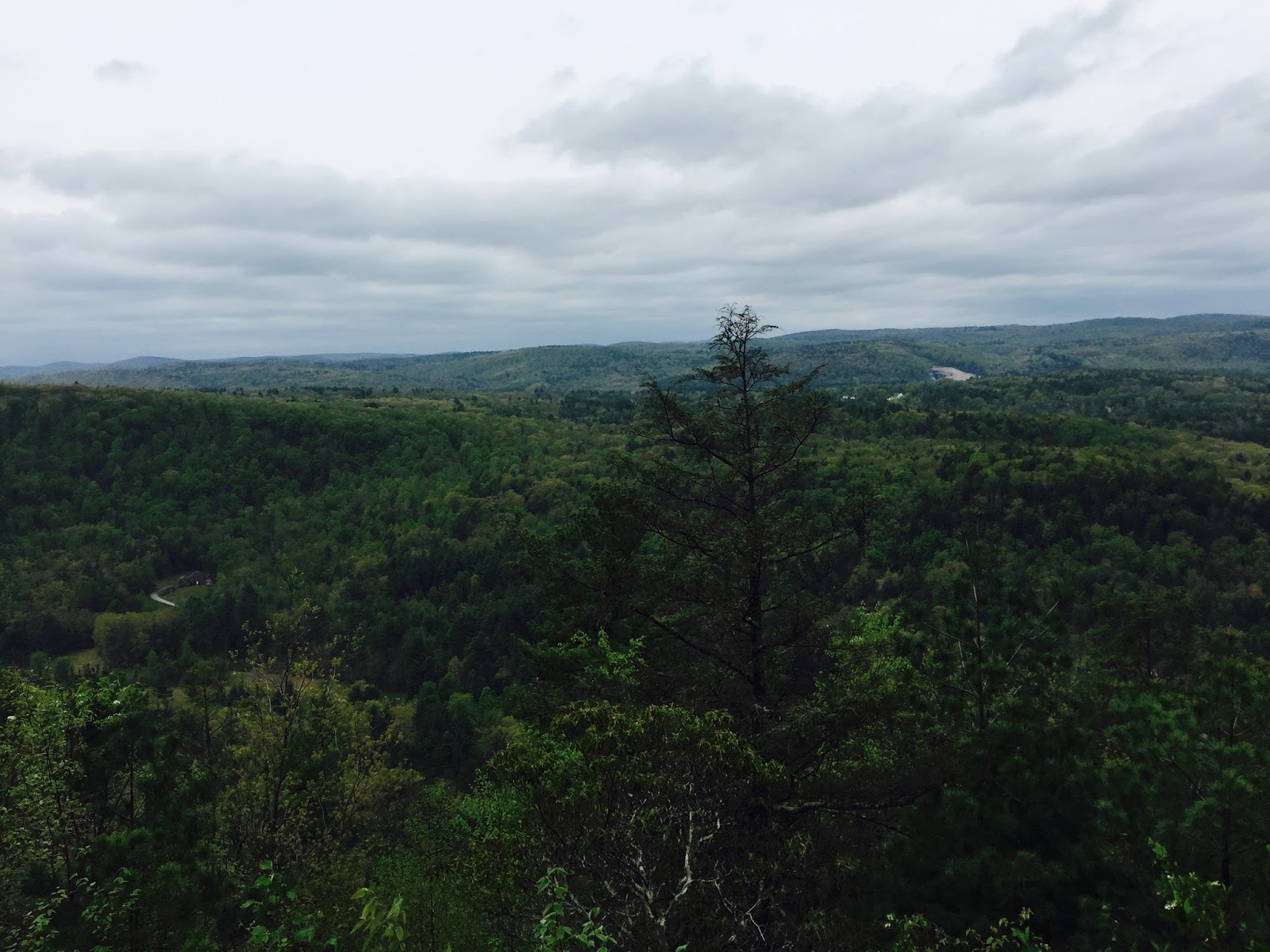 Valley Hikers Peoples State Forest, Barkhamsted