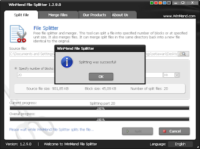 WinMend File Splitter