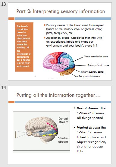 Understanding Williams Syndrome