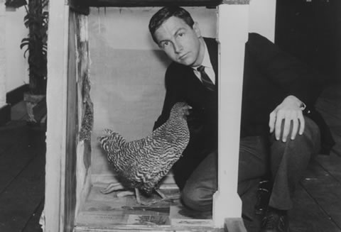 Chrissy's Digital Sketchbook: Robert Rauschenberg- More Artist Inspiration!