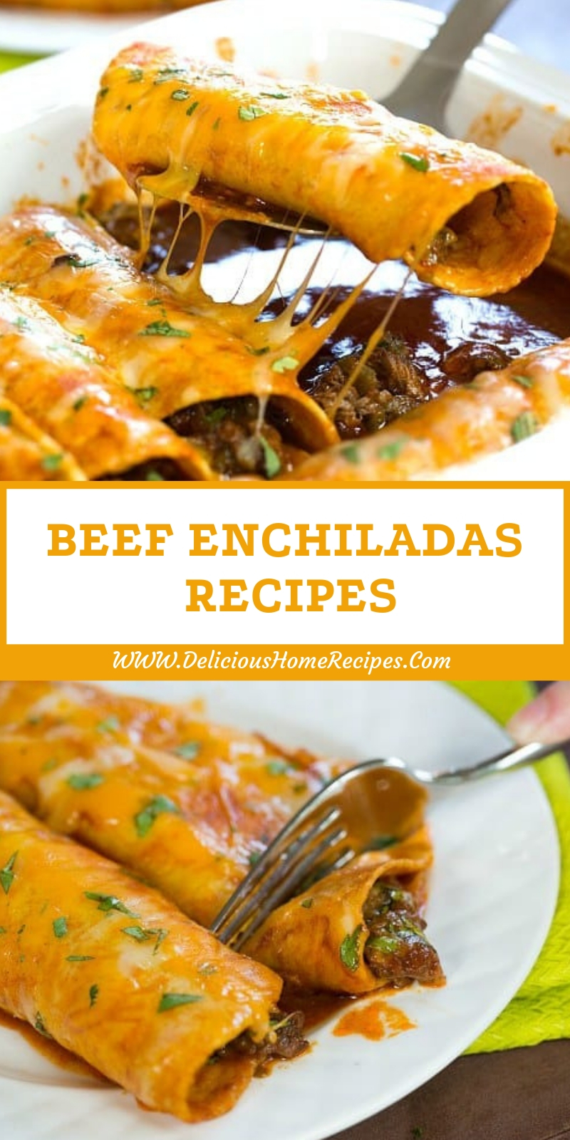 Beef Enchiladas Recipes Beef Enchiladas Recipes