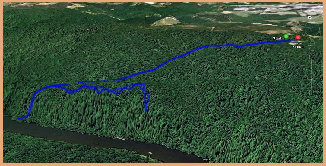 TrailMixxx Raven Rock (Raven Rock Loop and Little Creek Trails) 5/11