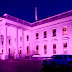 President Trump ‘Setting Up a Huge Bitcoin Rally’, Plus Ripple and XRP, Tron, Ethereum, Litecoin, Nano: Crypto News Flash