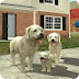 Dog Sim Online 8.4 APK for Android